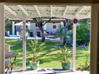 agave_point_7989