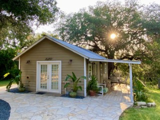 agave_point_8471