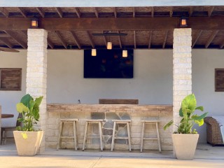 agave_point_8688
