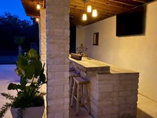 agave_point_8845