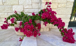 agua_bonita_009b