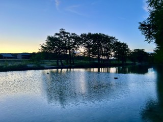 trulove_lodge_1184